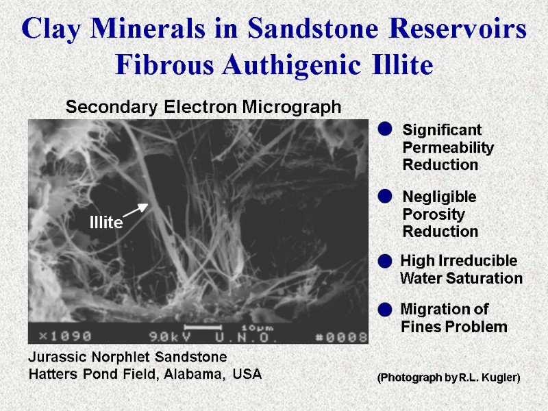 Secondary Electron Micrograph Jurassic Norphlet Sandstone Hatters Pond Field, Alabama, USA (Photograph by R.L.